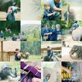 Thai Elephant Home Preview